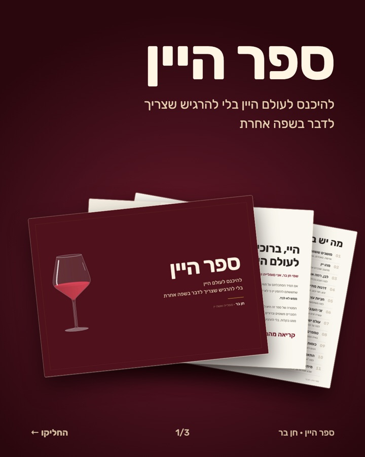 01-השקה תמונה 1