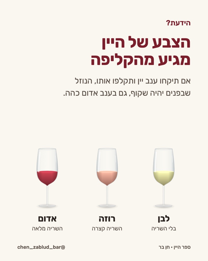 05-הצבע-מהקליפה תמונה 1