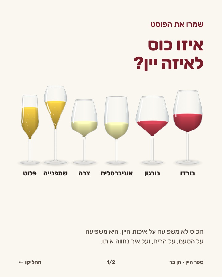 07-כוסות תמונה 1